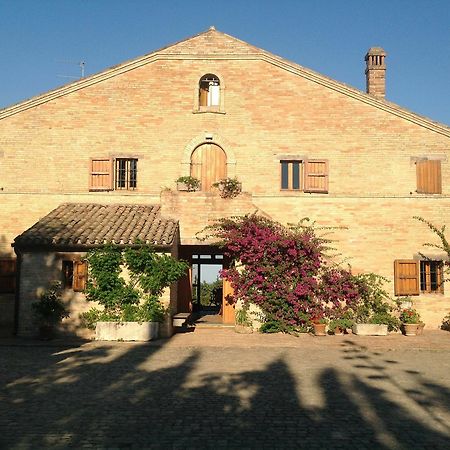 B&B Migliarino Civitanova Marche Esterno foto