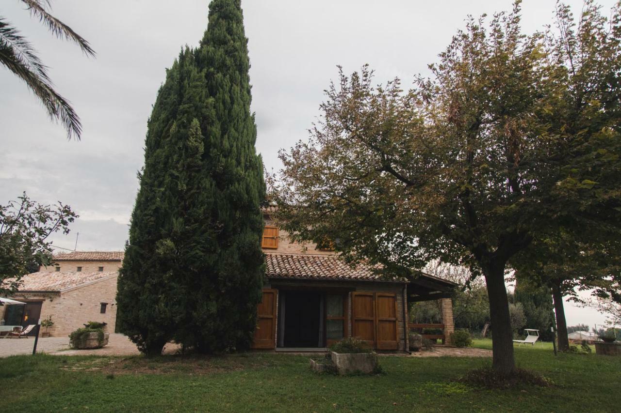 B&B Migliarino Civitanova Marche Esterno foto